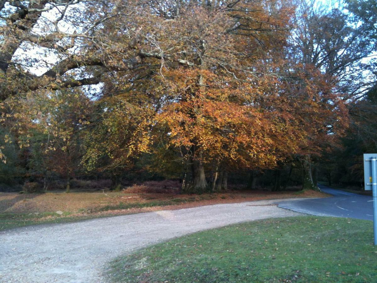 4 Lyndhurst Rd Brockenhurst Extérieur photo